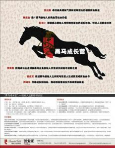 《创业家》2011年第3期_黑马
