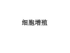 高考生物专题复习：高三生物细胞增殖1