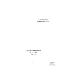 焦点科技：2010年年度审计报告