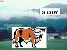 四年级英语课件 __ onthefarm小学英语课件