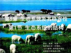 高中生物常规教学精品课件高二生物：生态系统的结构