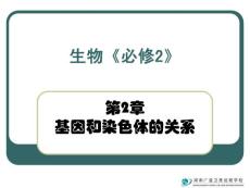 高中生物常规教学精品课件高一生物：必修2第2章第1节减数分裂和受精作用2