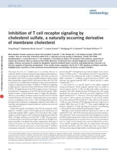 ni.3462-Inhibition of T cell receptor signaling by cholesterol sulfate, a naturally occurring derivative of membrane cholesterol
