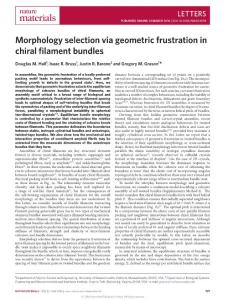 nmat4598-Morphology selection via geometric frustration in chiral filament bundles