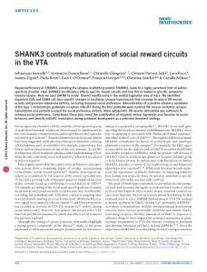 nn.4319-SHANK3 controls maturation of social reward circuits in the VTA