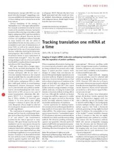 nbt.3632-Tracking translation one mRNA at a time