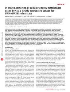 nprot.2016.074-In vivo monitoring of cellular energy metabolism using SoNar, a highly responsive sensor for NAD+-NADH redox state
