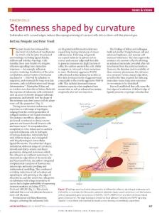 nmat4711-Cancer cells- Stemness shaped by curvature