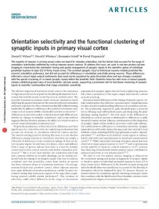 nn.4323-Orientation selectivity and the functional clustering of synaptic inputs in primary visual cortex