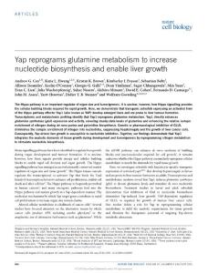 ncb3389-Yap reprograms glutamine metabolism to increase nucleotide biosynthesis and enable liver growth