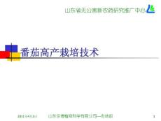 番茄高产栽培技术定稿