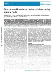 nchembio.2132-Structure and function of the bacterial decapping enzyme NudC