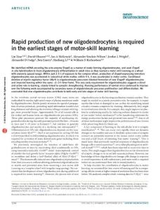 nn.4351-Rapid production of new oligodendrocytes is required in the earliest stages of motor-skill learning