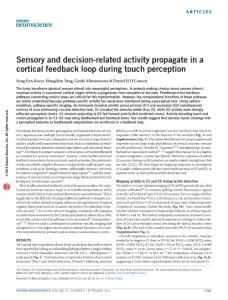 nn.4356-Sensory and decision-related activity propagate in a cortical feedback loop during touch perception