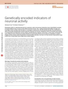 nn.4359-Genetically encoded indicators of neuronal activity