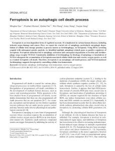 cr201695a-Ferroptosis is an autophagic cell death process