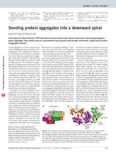 nsmb.3288-Sending protein aggregates into a downward spiral
