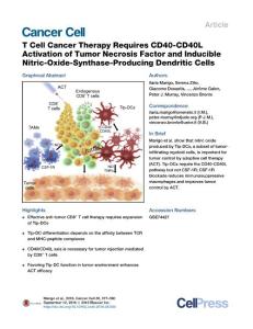 Cancer Cell-2016-T Cell Cancer Therapy Requires CD40-CD40L Activation of Tumor Necrosis Factor and Inducible Nitric-Oxide-Synthase-Producing Dendritic Cells