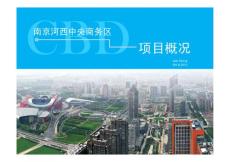 2010年南京河西中央商务区项目概况