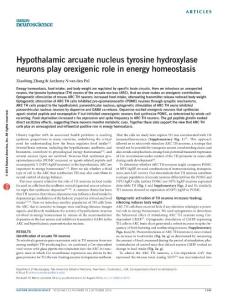 nn.4372-Hypothalamic arcuate nucleus tyrosine hydroxylase neurons play orexigenic role in energy homeostasis