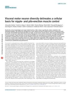 nn.4376-Visceral motor neuron diversity delineates a cellular basis for nipple- and pilo-erection muscle control