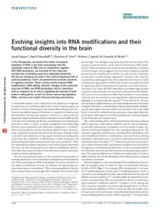 nn.4378-Evolving insights into RNA modifications and their functional diversity in the brain