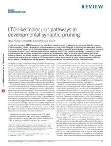 nn.4389-LTD-like molecular pathways in developmental synaptic pruning