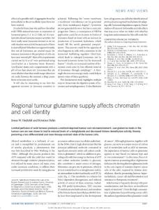ncb3414-Regional tumour glutamine supply affects chromatin and cell identity