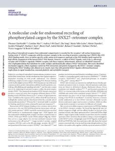 nsmb.3290-A molecular code for endosomal recycling of phosphorylated cargos by the SNX27–retromer complex