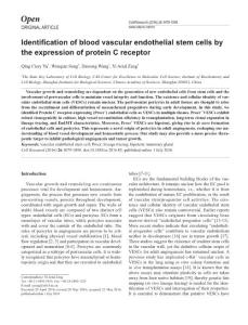 cr201685a-Identification of blood vascular endothelial stem cells by the expression of protein C receptor