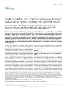 ncb3425-Snail1-dependent p53 repression regulates expansion and activity of tumour-initiating cells in breast cancer