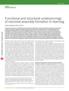 nn.4418-Functional and structural underpinnings of neuronal assembly formation in learning