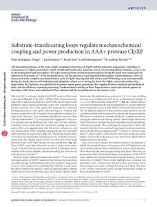 nsmb.3298-Substrate-translocating loops regulate mechanochemical coupling and power production in AAA+ protease ClpXP