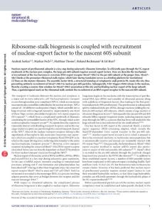 nsmb.3312-Ribosome-stalk biogenesis is coupled with recruitment of nuclear-export factor to the nascent 60S subunit