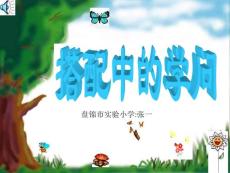搭配中的学问课件