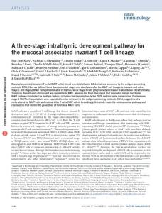 ni.3565-A three-stage intrathymic development pathway for the mucosal-associated invariant T cell lineage