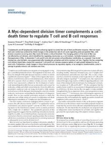 ni.3598-A Myc-dependent division timer complements a cell-death timer to regulate T cell and B cell responses