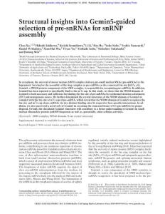 Genes Dev.-2016-Xu-Structural insights into Gemin5-guided selection of pre-snRNAs for snRNP assembly