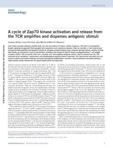 ni.3631-A cycle of Zap70 kinase activation and release from the TCR amplifies and disperses antigenic stimuli