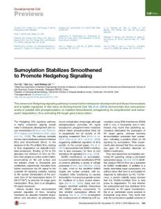 Developmental Cell-2016-Sumoylation Stabilizes Smoothened to Promote Hedgehog Signaling