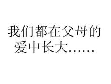 《四年级语文下册课件》19地震中的父与子课件