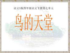 《四年级语文下册课件》25鸟的天堂(精品课件)ppt