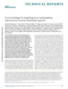 nn.4430-A viral strategy for targeting and manipulating interneurons across vertebrate species