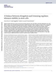 nsmb.3335-A balance between elongation and trimming regulates telomere stability in stem cells