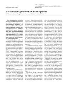 cr2016143a-Macroautophagy without LC3 conjugation