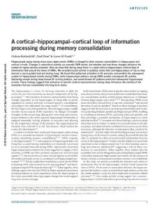 nn.4457-A cortical–hippocampal–cortical loop of information processing during memory consolidation