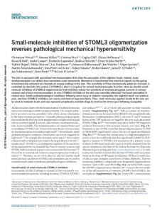 nn.4454-Small-molecule inhibition of STOML3 oligomerization reverses pathological mechanical hypersensitivity