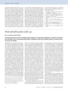 ni.3636-How lymphocytes add up