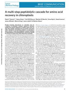 nchembio.2227-A multi-step peptidolytic cascade for amino acid recovery in chloroplasts