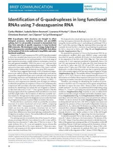 nchembio.2228-Identification of G-quadruplexes in long functional RNAs using 7-deazaguanine RNA